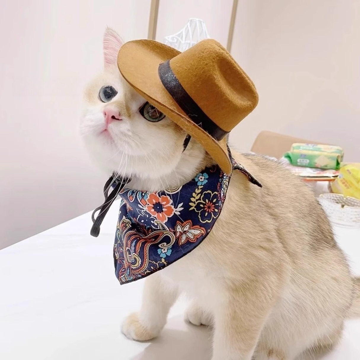  Cat Cowboy Hat Pet Head Acce - Cowboy Hat Straw avaliação e preço